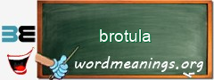 WordMeaning blackboard for brotula